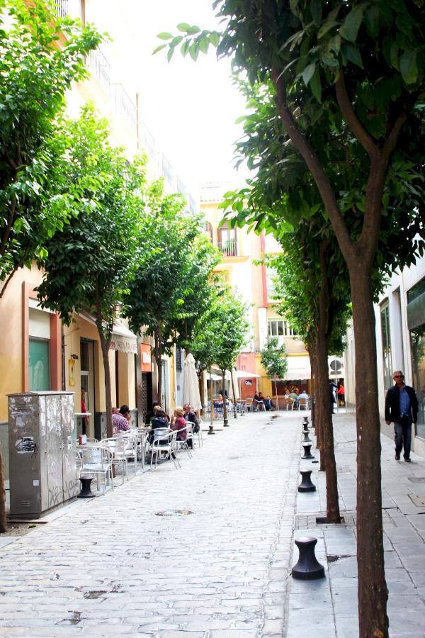Plaza Nueva Terraza Διαμέρισμα Σεβίλλη Εξωτερικό φωτογραφία